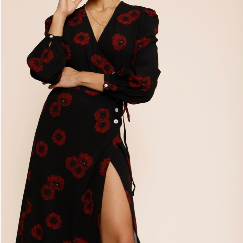 ROUJE Gabin Anémone dress NWT